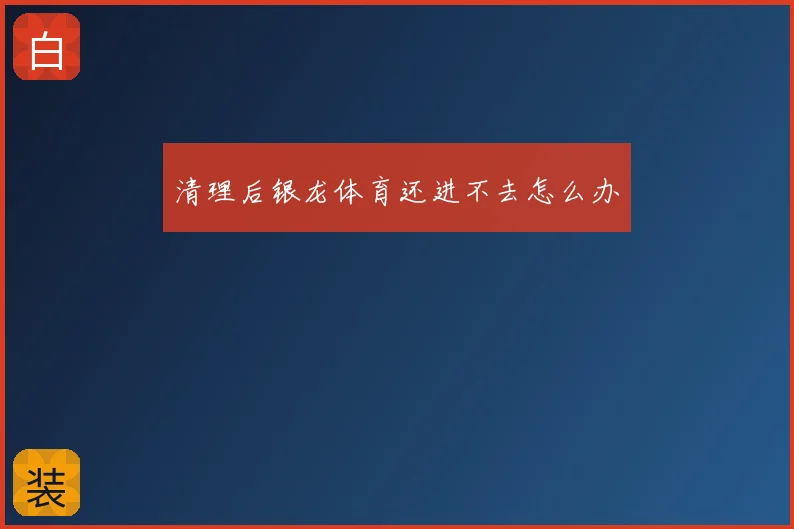 清理后银龙体育还进不去怎么办