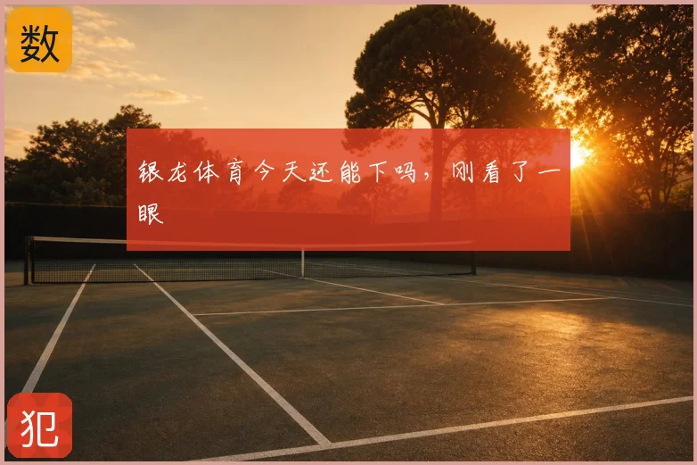 银龙体育今天还能下吗，刚看了一眼